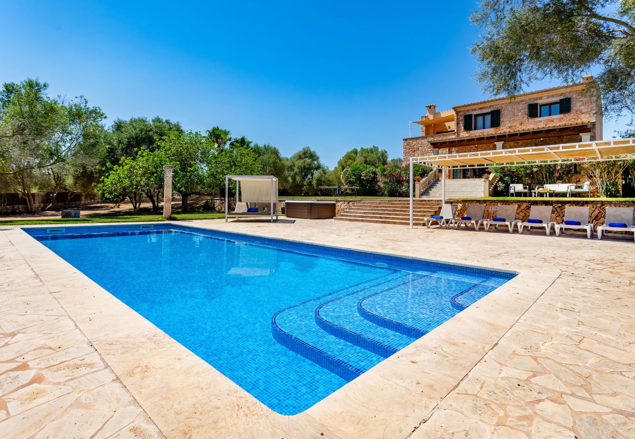 Country house in Santanyi - B Bassa Seca