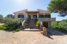 Country house in Santanyi - D Finca Melanie