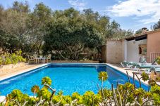 Country house in Santanyi - E Sa Bassa Llova