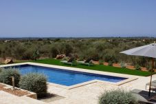 Country house in Ses Salines - F Sa Pleta Nova