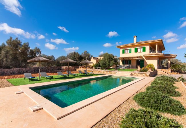 Country house in Ses Salines - F Hort de Can Rafelet