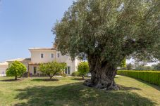 Villa a Oliva - Villa Degas210